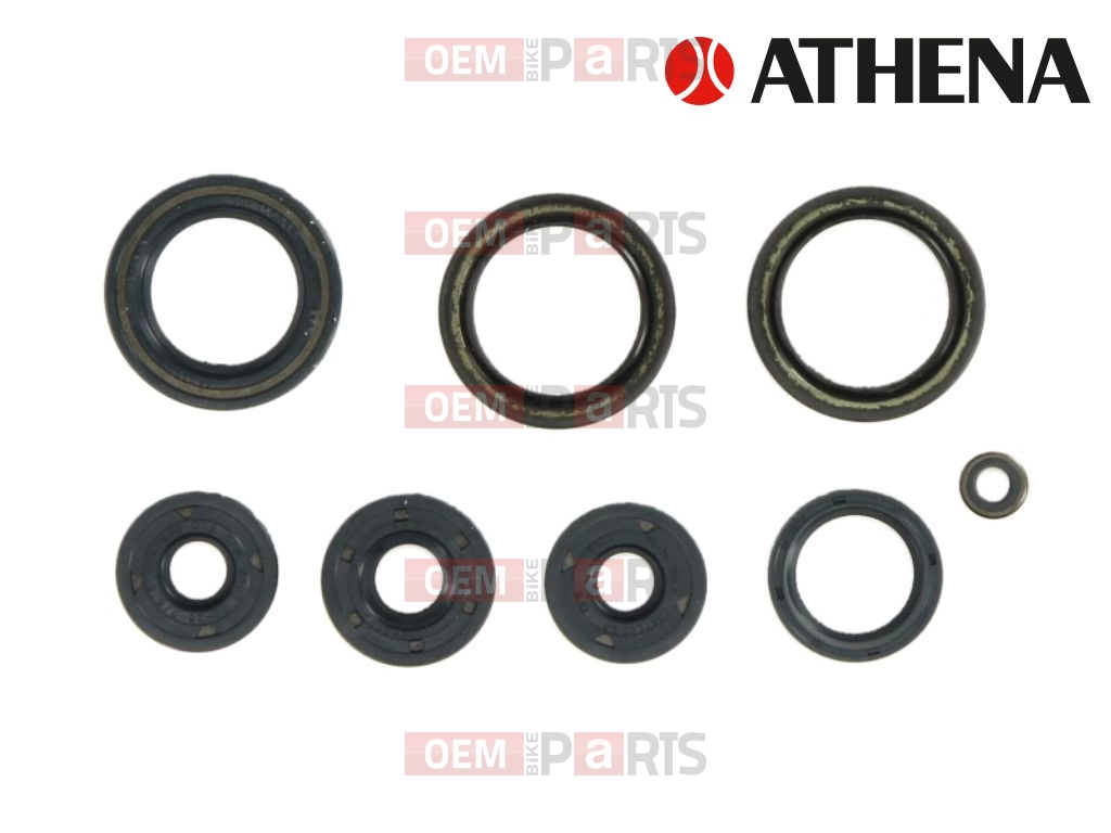 Dichtring Satz (Rotax 123)