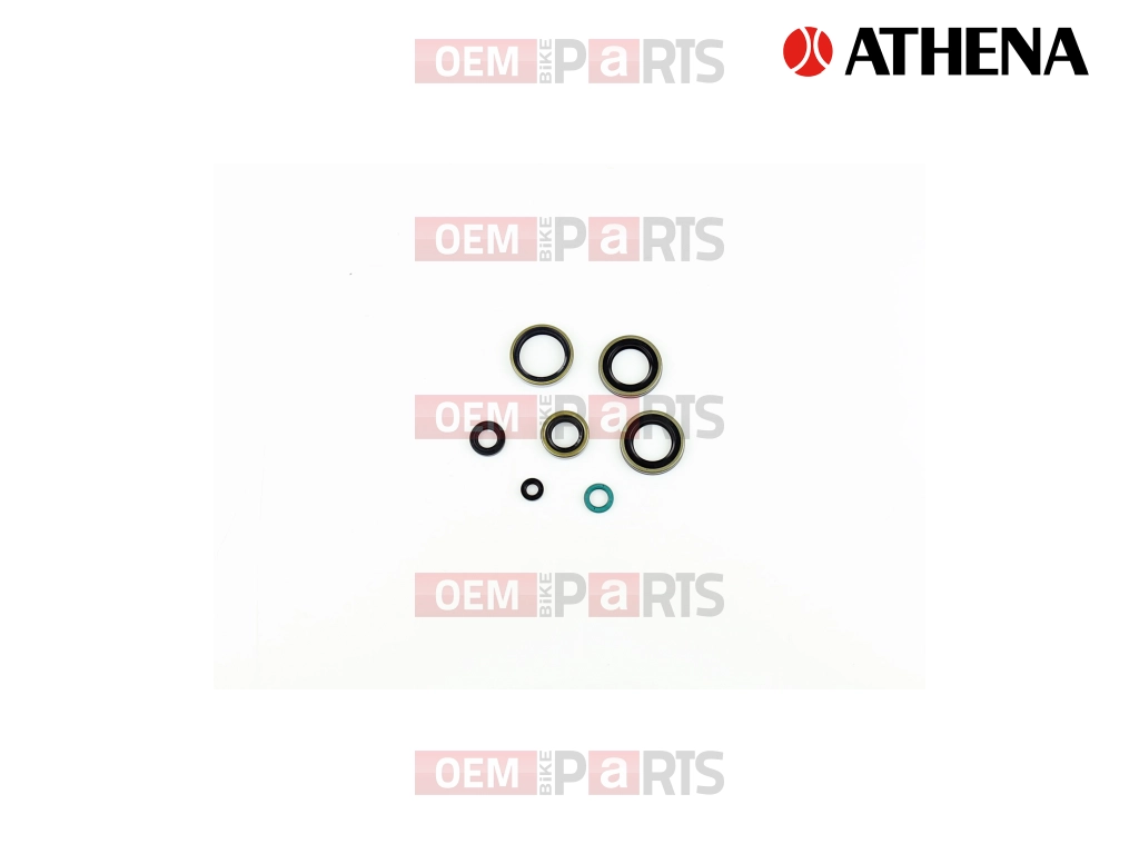 Oil seals kit