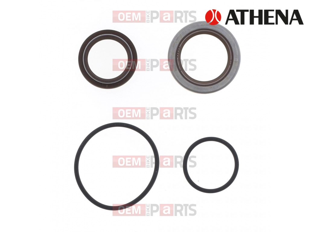 CRANK SEALS JOHNSON                               