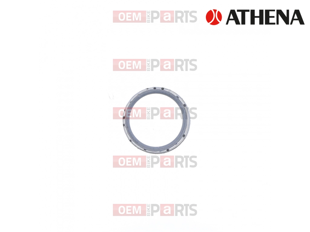 Exhaust Gasket