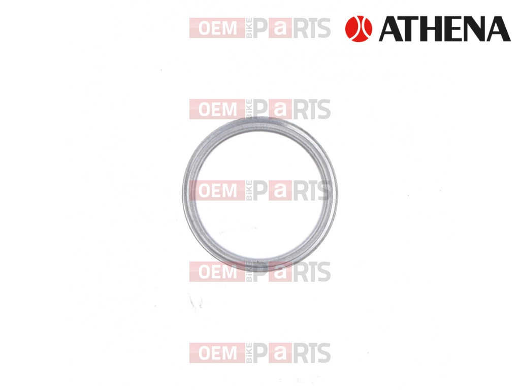 Exhaust Gasket