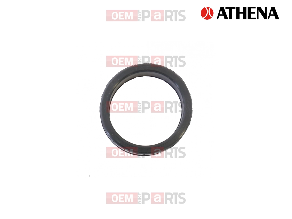 Seal ring carburator manifold