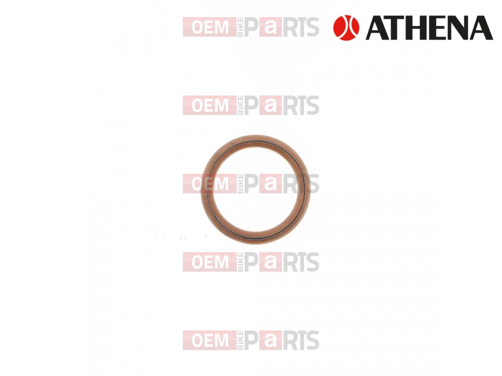 Exhaust Gasket