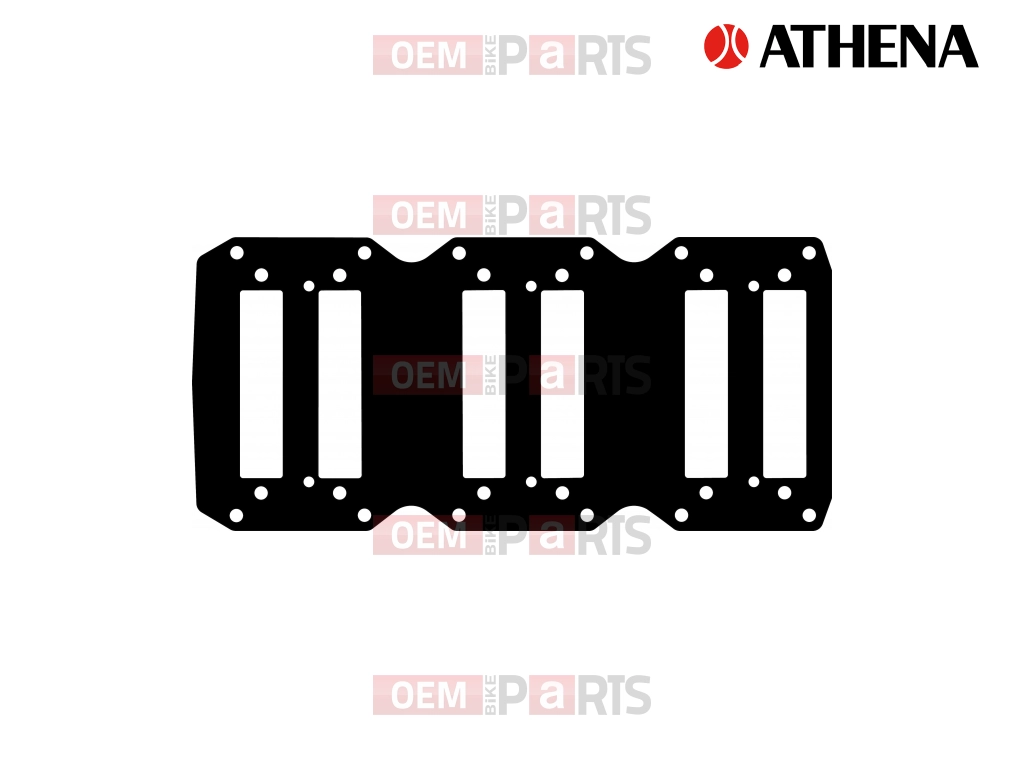 REED GASKET                                       