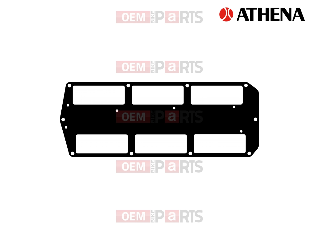 REED INTAKE GASKET                                