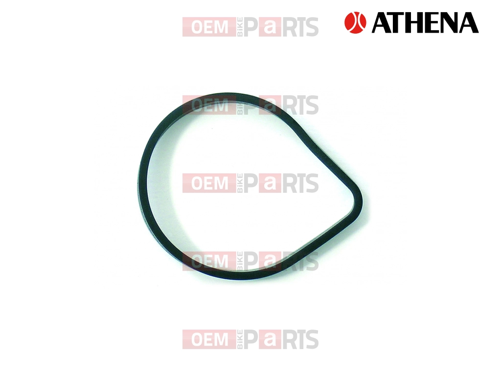 RUBBER GASKET                                     