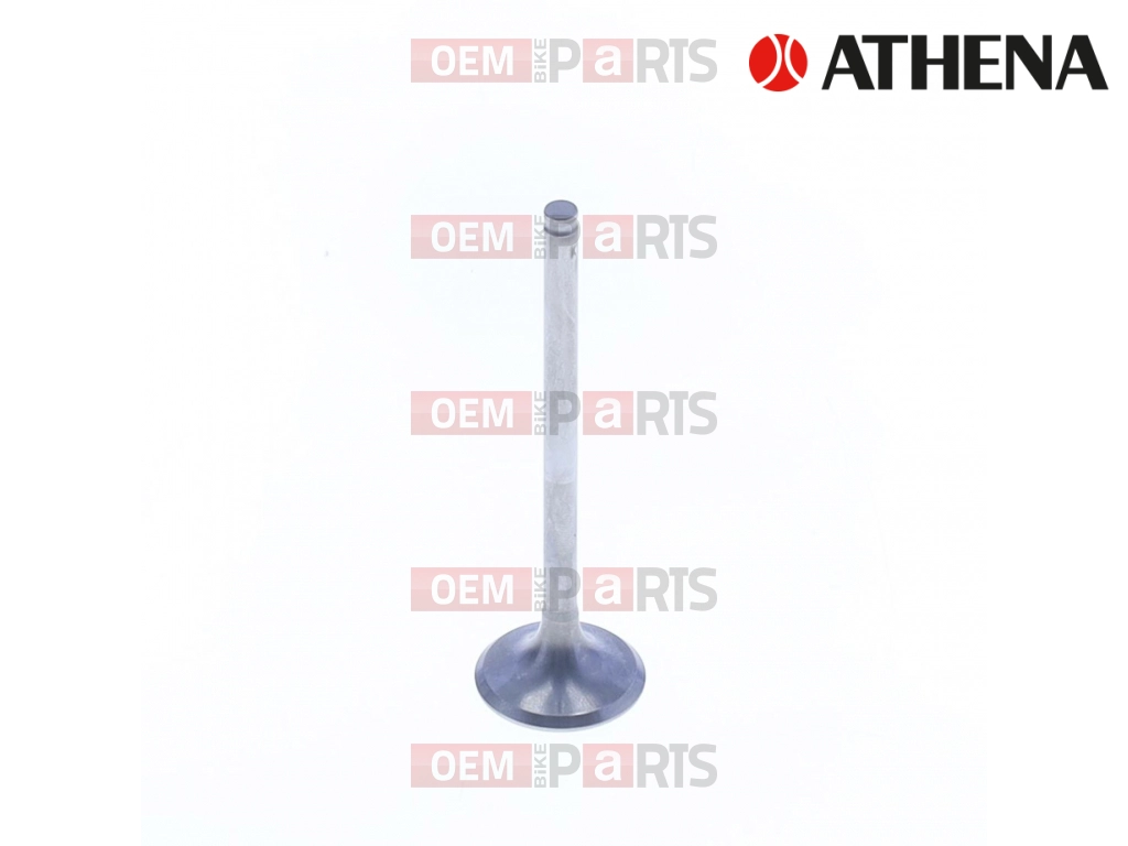 Exhaust Valve
