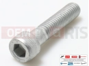 derbi Rambla 300 AP8150038 - Vis