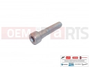 MOTOGUZZI Eldorado 1400 ABS 2 pc - AP8150329 - Vis