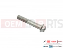 derbi Rambla 300 10 pc - AP8152292 - Vis