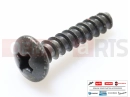 PIAGGIO 10 pc - 00011031801 - Vis