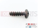 PIAGGIO 20 pc - 00011051801 - Vis