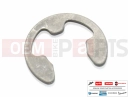 005967 - Seeger