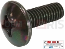 PIAGGIO Beverly 250 Cruiser 272836 - Vis