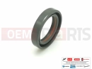 PIAGGIO 4345826 - Dichtring