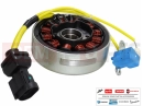 gilera Runner VX 58059R - Stator