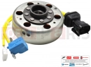 PIAGGIO X9 125 Evolution 58130R - Stator