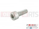 PIAGGIO 8 pc - 597150 - Vis
