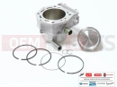PIAGGIO X9 500 Evolution ABS 832811 - Cilindar Kit (500 ccm)