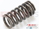 PIAGGIO Liberty 150 879456 - Ext. valve spring