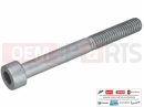 MOTOGUZZI V85 TT Strada E5+ (EU) AP8150045 - Vis