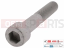 MOTOGUZZI V85 TT Strada E5+ (EU) AP8150049 - Vis