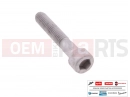 MOTOGUZZI V7 Stone E5+ (EU) 10 pc - AP8150285 - Vis