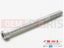derbi Rambla 300 AP8150438 - Vis