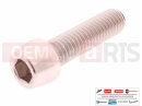 MOTOGUZZI Stelvio E5+ (EU) AP8150540 - Vis