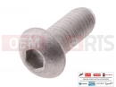 MOTOGUZZI V85 TT Strada E5+ (EU) AP8152058 - Vis