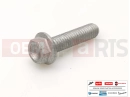 MOTOGUZZI Eldorado 1400 ABS 10 pc - AP8152274 - Vis
