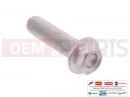 derbi Rambla 300 10 pc - AP8152288 - Vis