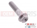 derbi Rambla 125-250 5 pc - AP8152289 - Vis