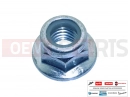 derbi Rambla 300 10 PC - AP8152301 - Mutter