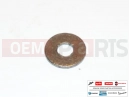 AP8163167 - Washer