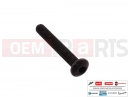 MOTOGUZZI V 85 TT e4 ABS 2019 (EMEA) 10 pc - AP8225369 - Vis