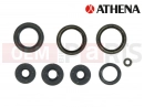 Oil seals kit (Rotax 123)