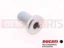 DUCATI 2013 HYPERSTRADA 2 pc - 77911622A - Vis