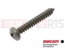 DUCATI 2004 998 Final Ed. 5 pc - 77450021B - Vis