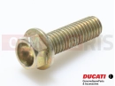 DUCATI 2004 998 Final Ed. 5 pc - 77250231A - Vis