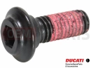 2 pc - 77211082B - Vis (spec)