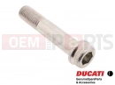 DUCATI 2012 Diavel 77159378B - Vis