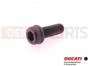 DUCATI 2013 HYPERSTRADA 2 pc - 77157243B - Vis