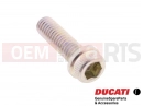 DUCATI 2004 998 Final Ed. 2 pc - 77156678B - Vis
