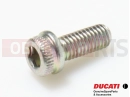 DUCATI 2013 HYPERSTRADA 2 pc - 77156398B - Vis