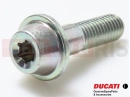 DUCATI 2013 HYPERSTRADA 77916763AA - Vis (spec)