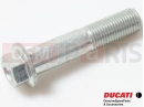 DUCATI 2016 Hyperstrada 939 77210042B - Vis