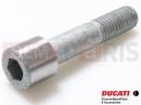 DUCATI 2014 HYPERSTRADA 77915041A - Vis (spec)