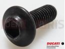 DUCATI 2024 Scrambler Nightshift 77244183B - Vis