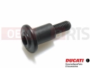 DUCATI 2014 HYPERSTRADA 77211271A - Vis (spec)